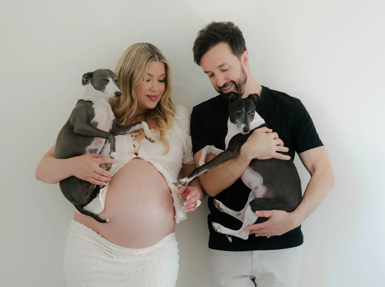 Expecting couple holding their dogs against a white wall