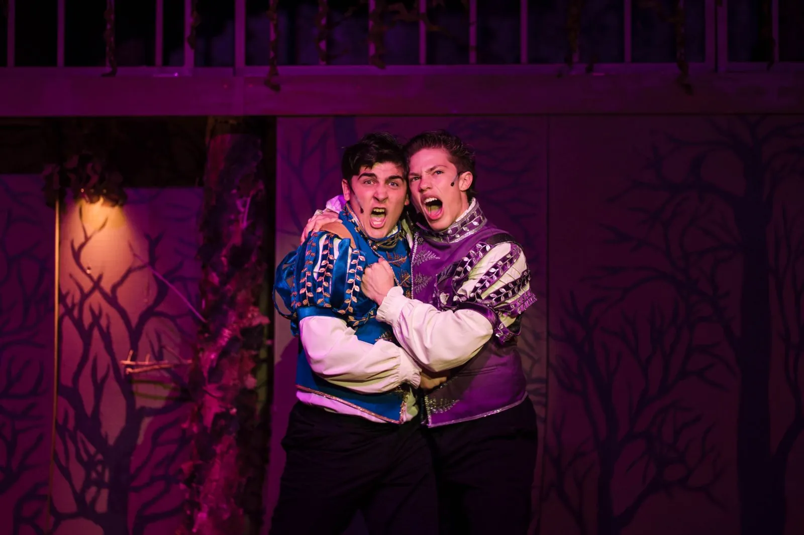 Two princes singing mid-number under purple stage lights